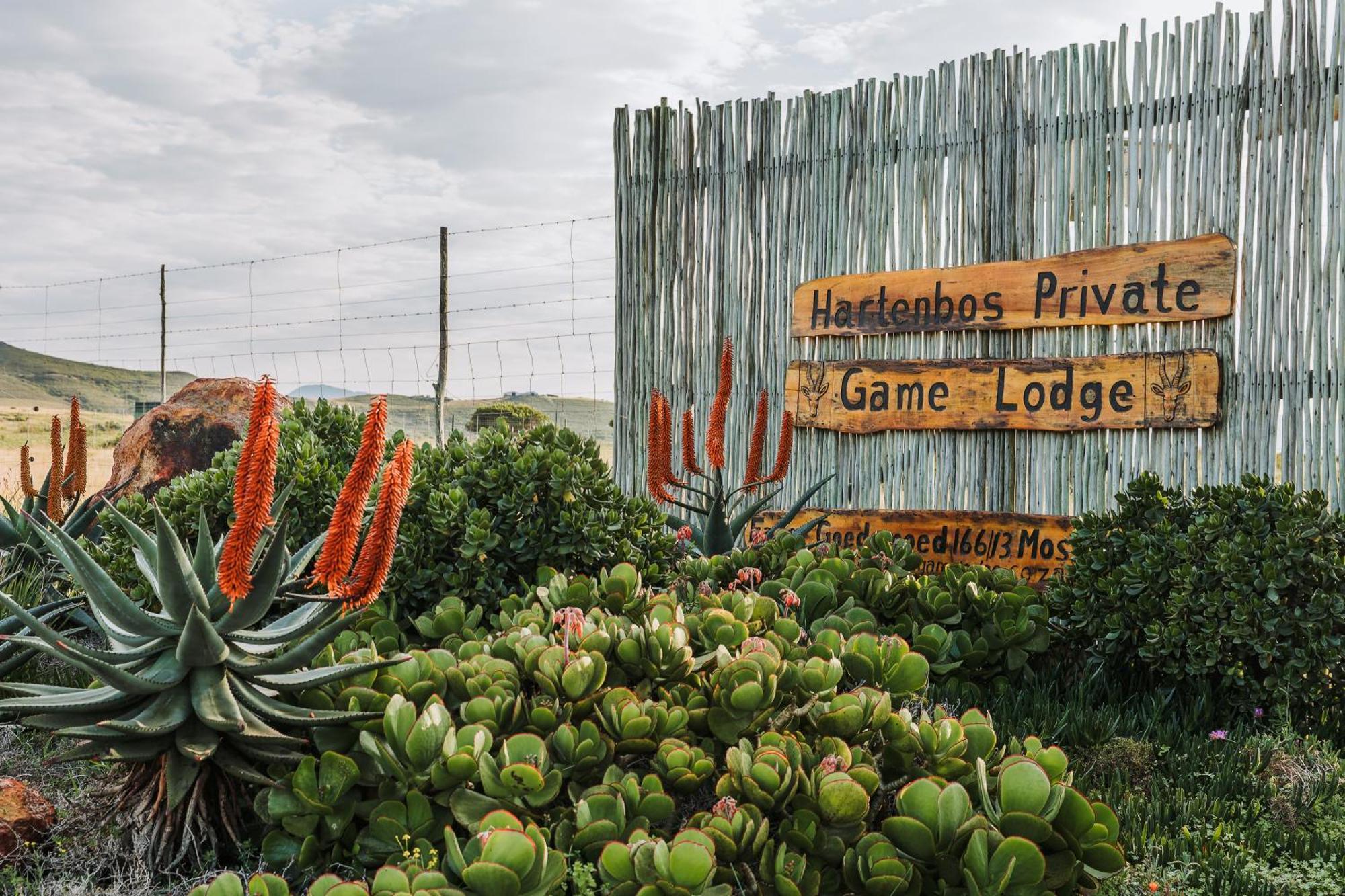 Hartenbos Private Game Lodge ภายนอก รูปภาพ