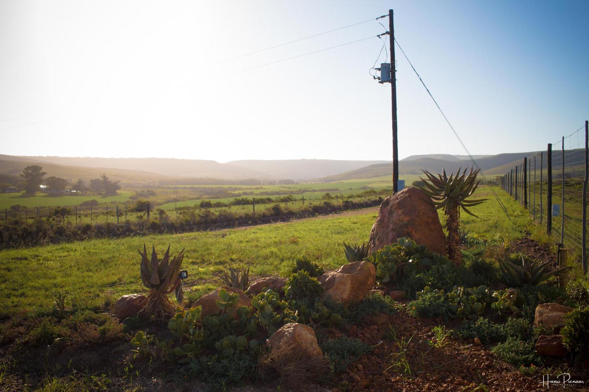 Hartenbos Private Game Lodge ภายนอก รูปภาพ
