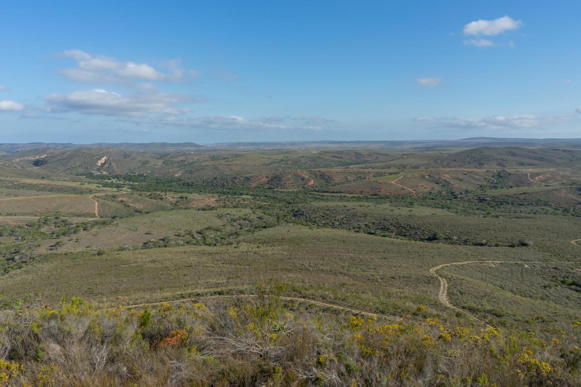 Hartenbos Private Game Lodge ภายนอก รูปภาพ