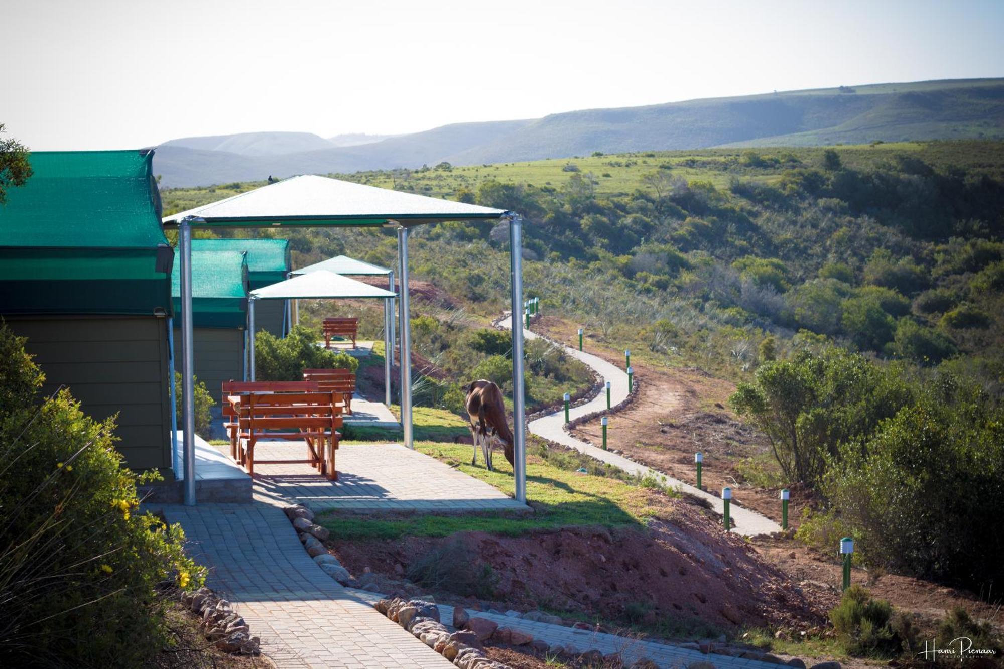 Hartenbos Private Game Lodge ภายนอก รูปภาพ